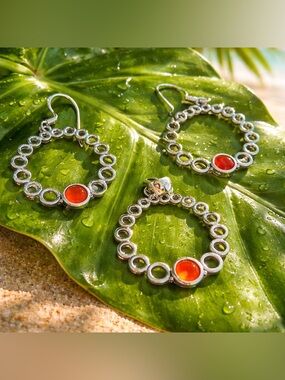 Carnelian Necklace & Earring SET!